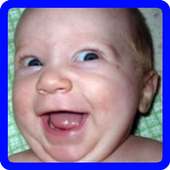 Funny Pics Vids & Memes - free