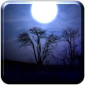 Night Shadow LITE icon