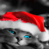 Santa Cap Cat LWP icon