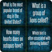Animal trivia quiz أيقونة