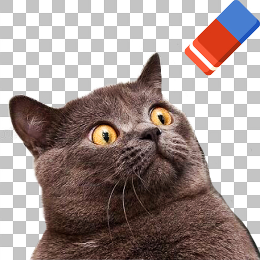 Background PNG creator icon