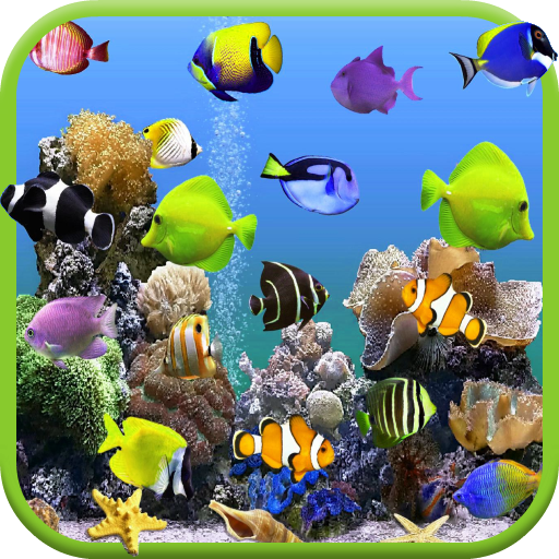 Aquarium Video Live Wallpaper icon
