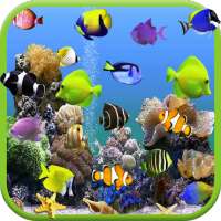 Aquarium Video Live Wallpaper