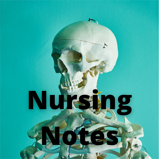 Best Nursing Notes App icon