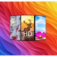 Wallpaper World: 4K, HD Backgrounds, Daily Update on 9Apps