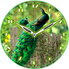 Peacock Clock icon