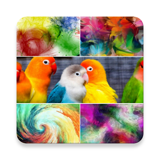 HD Wallpapers for free icon