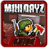 Advice: Mini DayZ- Survival Game