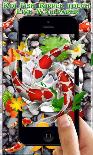 Koi Fish HD Live Wallpaper & 3D Ripple Touch скриншот 2
