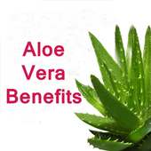 Aloe Vera Benefits on 9Apps