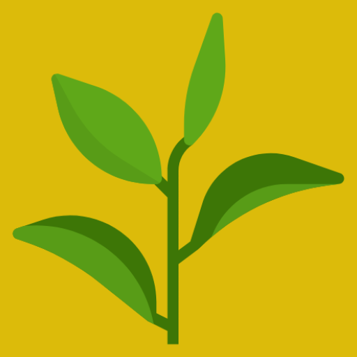 ingilizce öğren- gramer,test icon