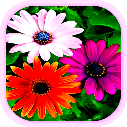 flower wallpaper icon