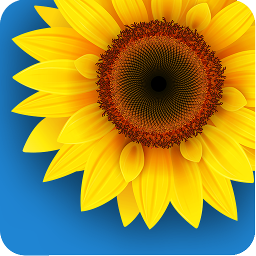 Gallery Download Pro icon