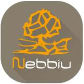 Nebbiu