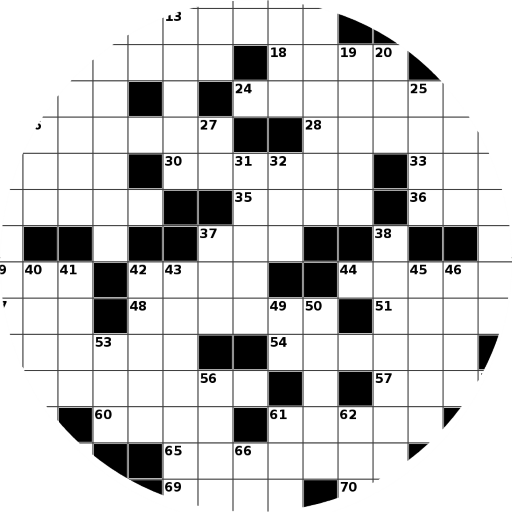 Word Puzzle Solver icon