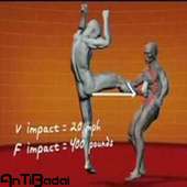 Best Martial Arts Training Guides