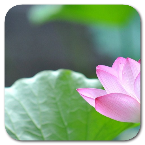 G1 Ripple Locker icon