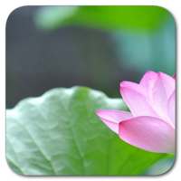 G1 Ripple Locker on 9Apps