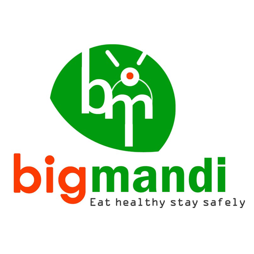 Big Mandi - Online Supermarket in Vijayawada icon