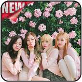BlackPink Wallpapers KPOP on 9Apps