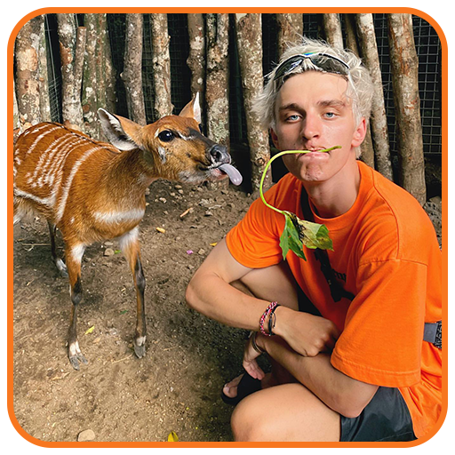 Влад А4 Обои - Vlad A4 Walls icon