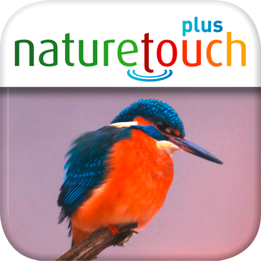 Vogelstimmen live erkennen - naturetouch icon