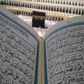 Quran Recitation Videos أيقونة