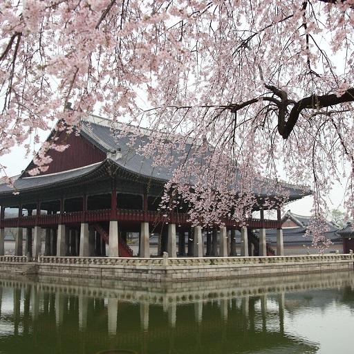 Seoul Wallpapers HD icon