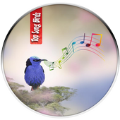 Birds Calls Songs and Sounds icon