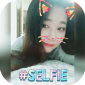 Cat face Photo Filtros on 9Apps