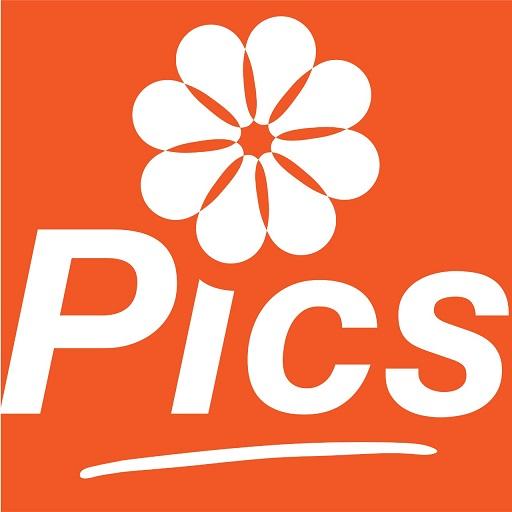 Picsati icon