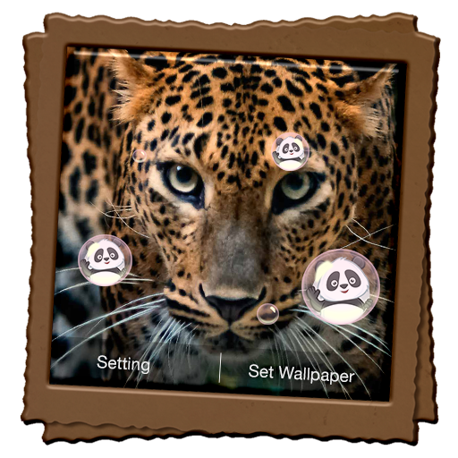 Leopard Live Wallpaper icon