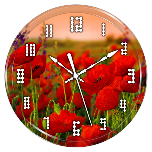 Red Poppy Clock Live Wallpaper icon