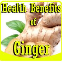 Health Benefits of Ginger on 9Apps