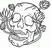 Drawing Skull Art icon