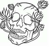 Drawing Skull Art on 9Apps