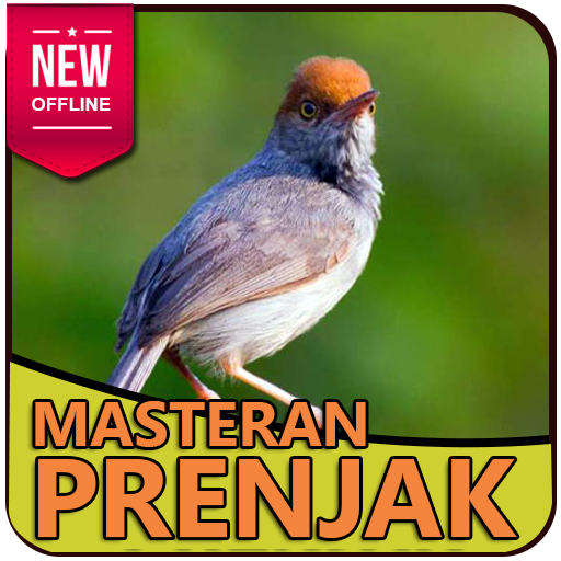Suara Burung Prenjak Masteran dan Pancingan icon