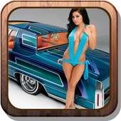 Sexy Hot Girls on Cars