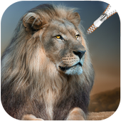 Lion Zipper Screen Lock icon