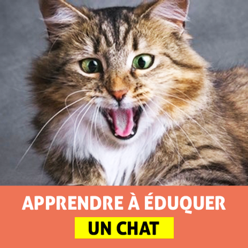 Éduquer un Chat icon