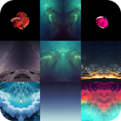 Wallpaper For iPhone 8 / 7 icon