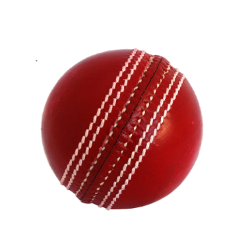 Cricket Simulator icon
