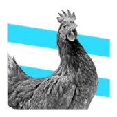 Chicken Game icon