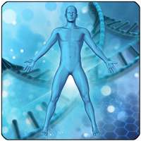 اطلس تصویری آناتومی بدن انسان on 9Apps