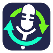 Sound Record/Playback icon