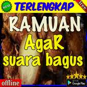 Ramuan Agar Suara Bagus