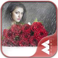 Rain Rose Photo Frames