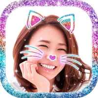 Cat Face Camera app 😺 Snap Filters and Effects on 9Apps