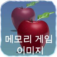 메모리 게임 이미지