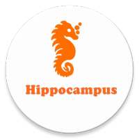 Hippocampus